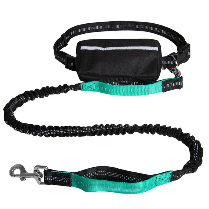 PawsFree Leash