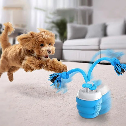 Interactive Dog Toys Ball