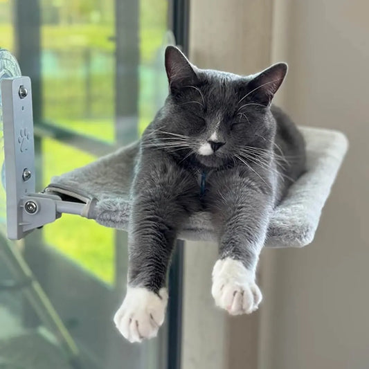 Foldable Cat Hammock