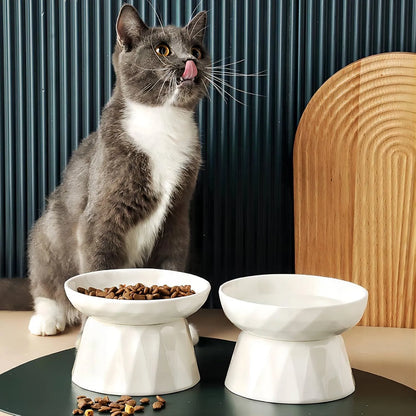 Whisker Friendly Slow Feeder Cat Bowl